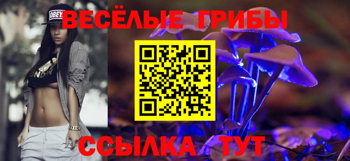 Нерюнгри  Галлюциногенные грибы прущие грибы  Галлюциногенные грибы Magic Shrooms  Вход с VPN 